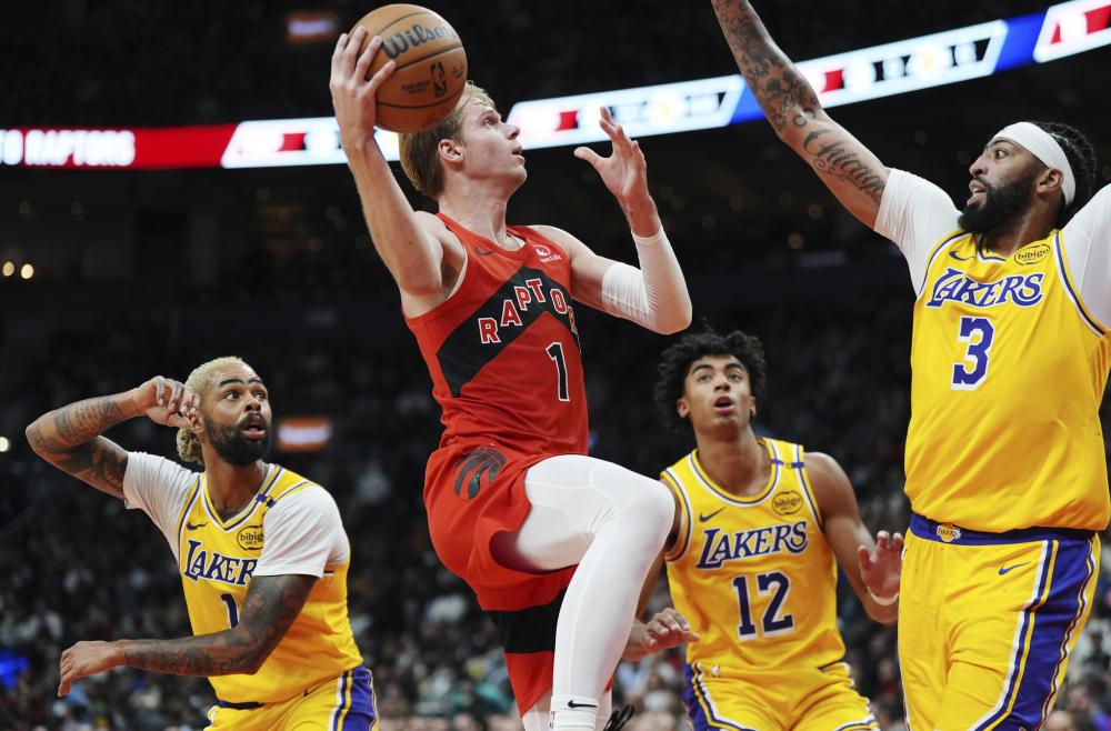 特色省区 特色省区